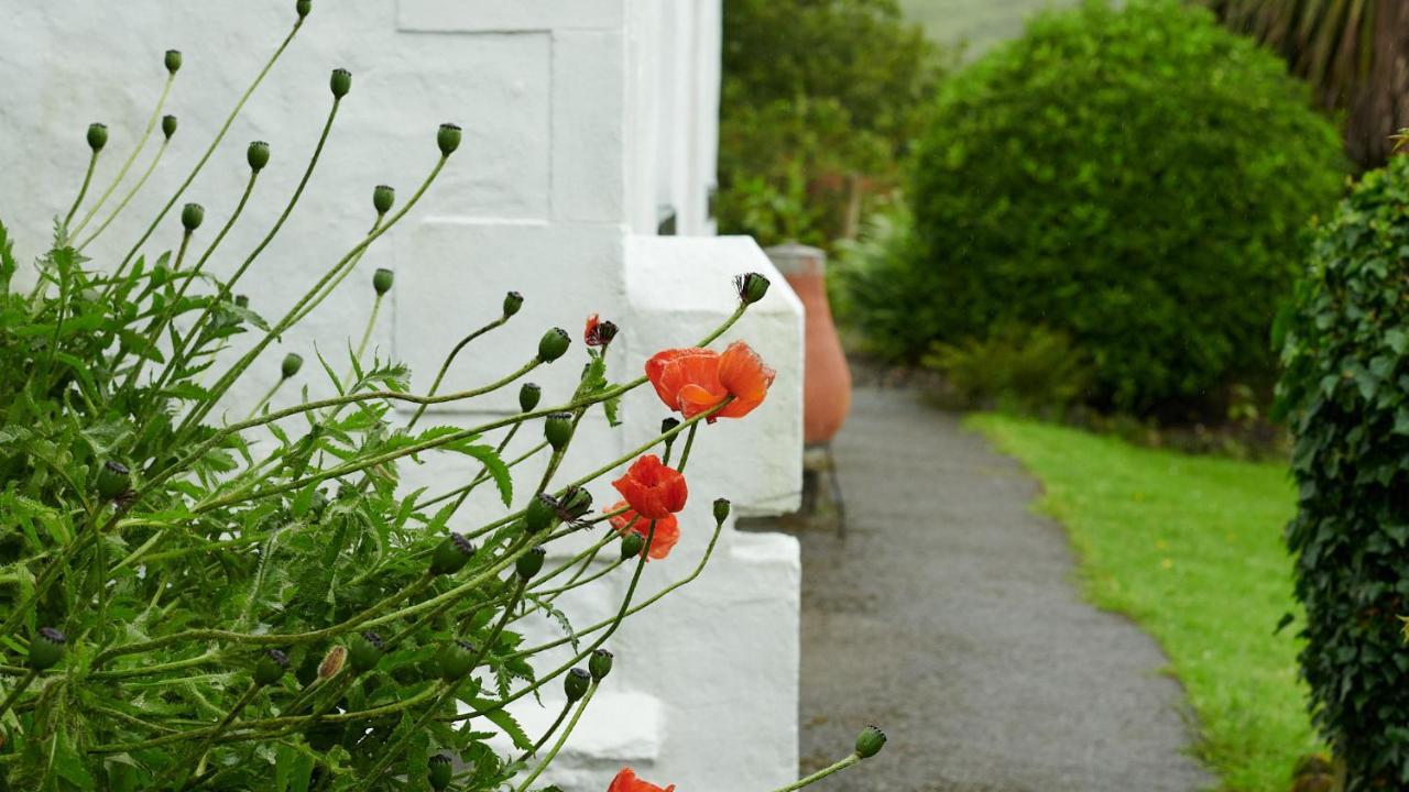 Hawthorn Cottage ウィグ エクステリア 写真